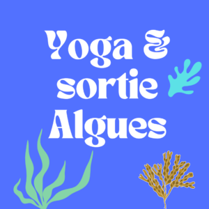 yoga et sortie algues trégastel